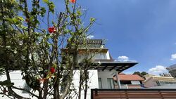 Ponggol Twenty-fourth Avenue (D19), Detached #560918201